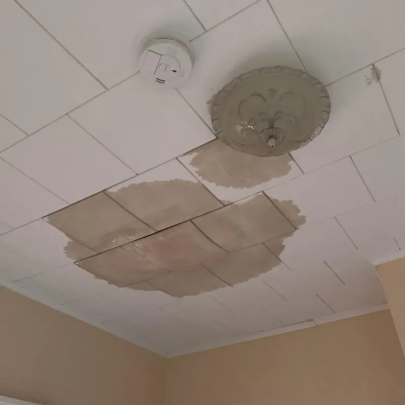 Ceiling Water Damage Repair in Mission, KS