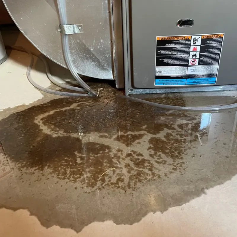 Pipe Burst and Leak Restoration in Mission, KS