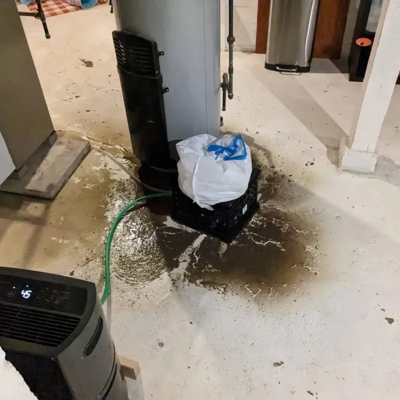 Sewage Backup Cleanup Service in Mission, KS